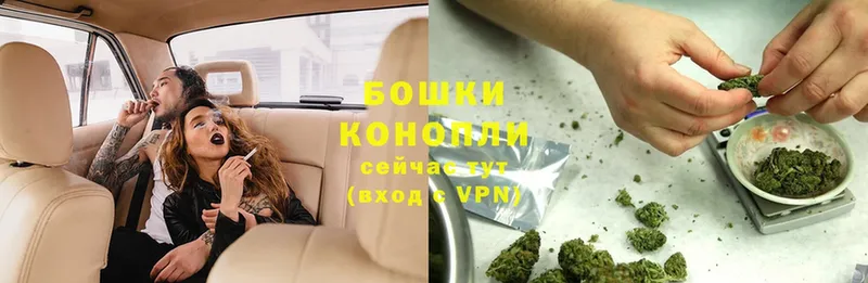 Конопля SATIVA & INDICA  наркотики  Дмитров 